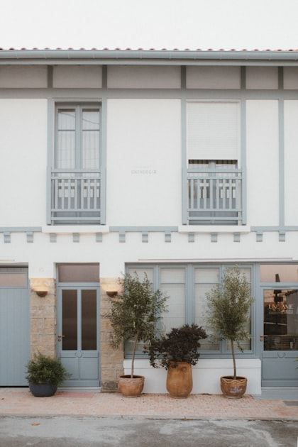 Exploring Short Term Rentals